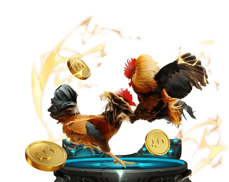 Quy trình đăng ký tài khoản 55win